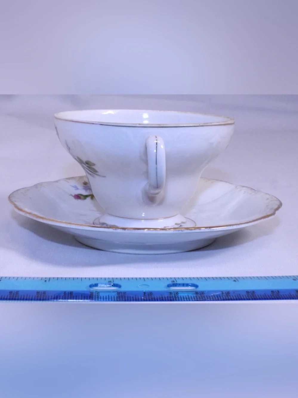Vintage Royal Sealy China Moss Rose Teacup and Saucer Set